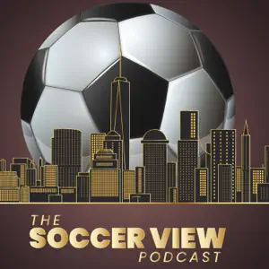 The Soccer View