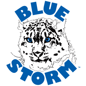 SWIC Blue Storm Logo